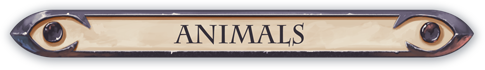 ____chimere_titre_animals